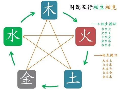 陰之水陰之木水生木相生10-4